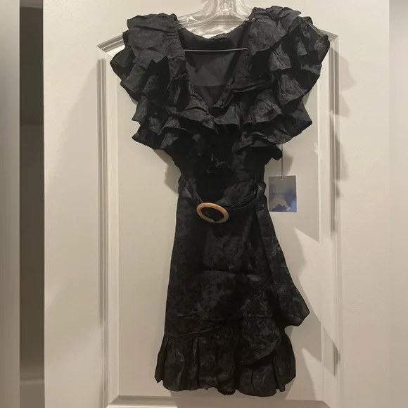 Majorelle Sebastian Mini Dress - Picture 7 of 9